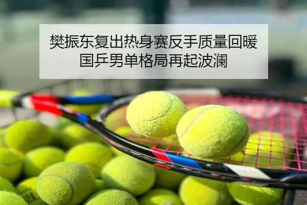 樊振东复出热身赛反手质量回暖 国乒男单格局再起波澜